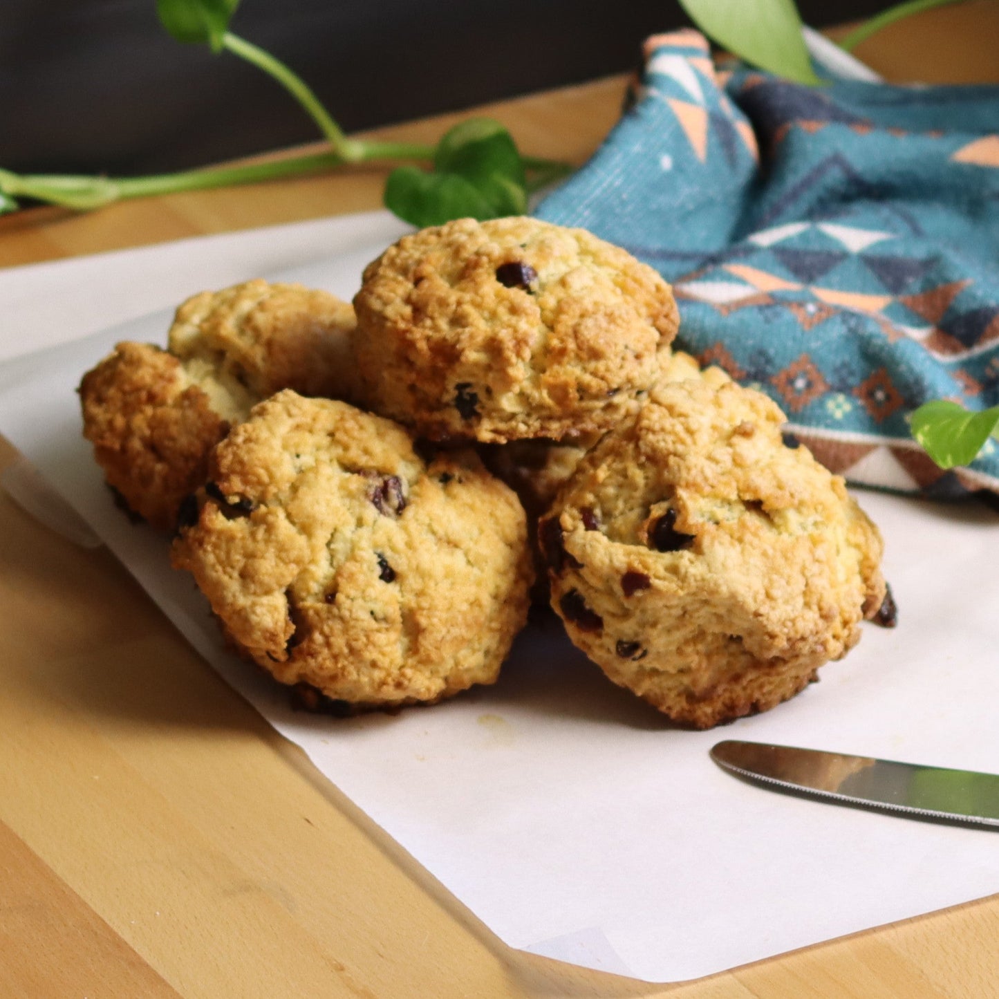 Cranberry Scones - Ashlan Bakery