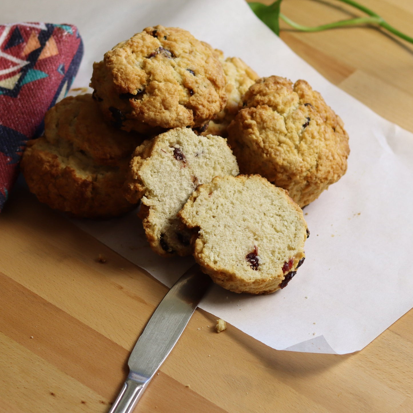 Cranberry Scones - Ashlan Bakery
