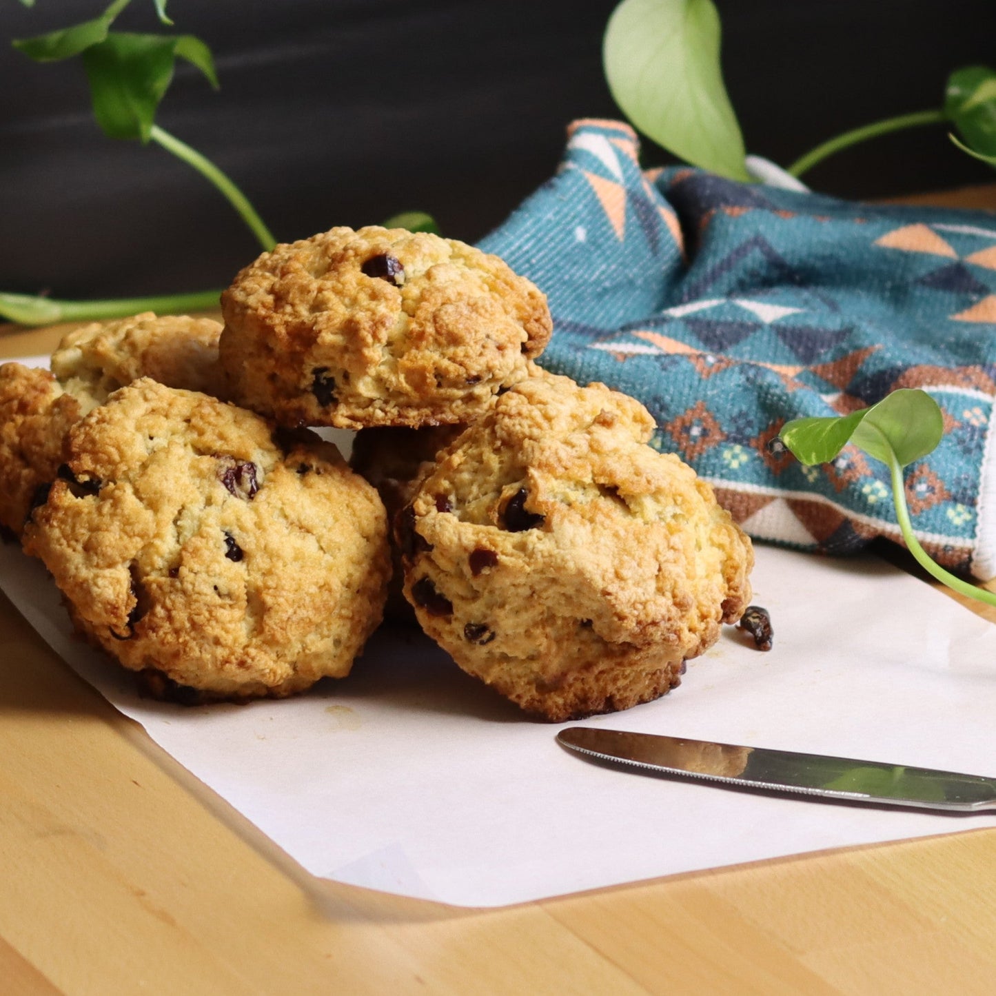 Cranberry Scones - Ashlan Bakery