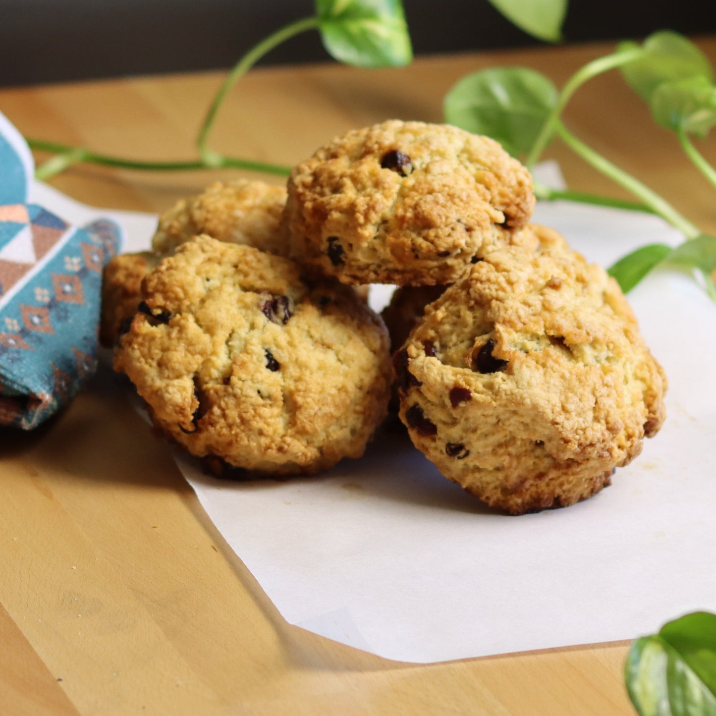 Cranberry Scones - Ashlan Bakery