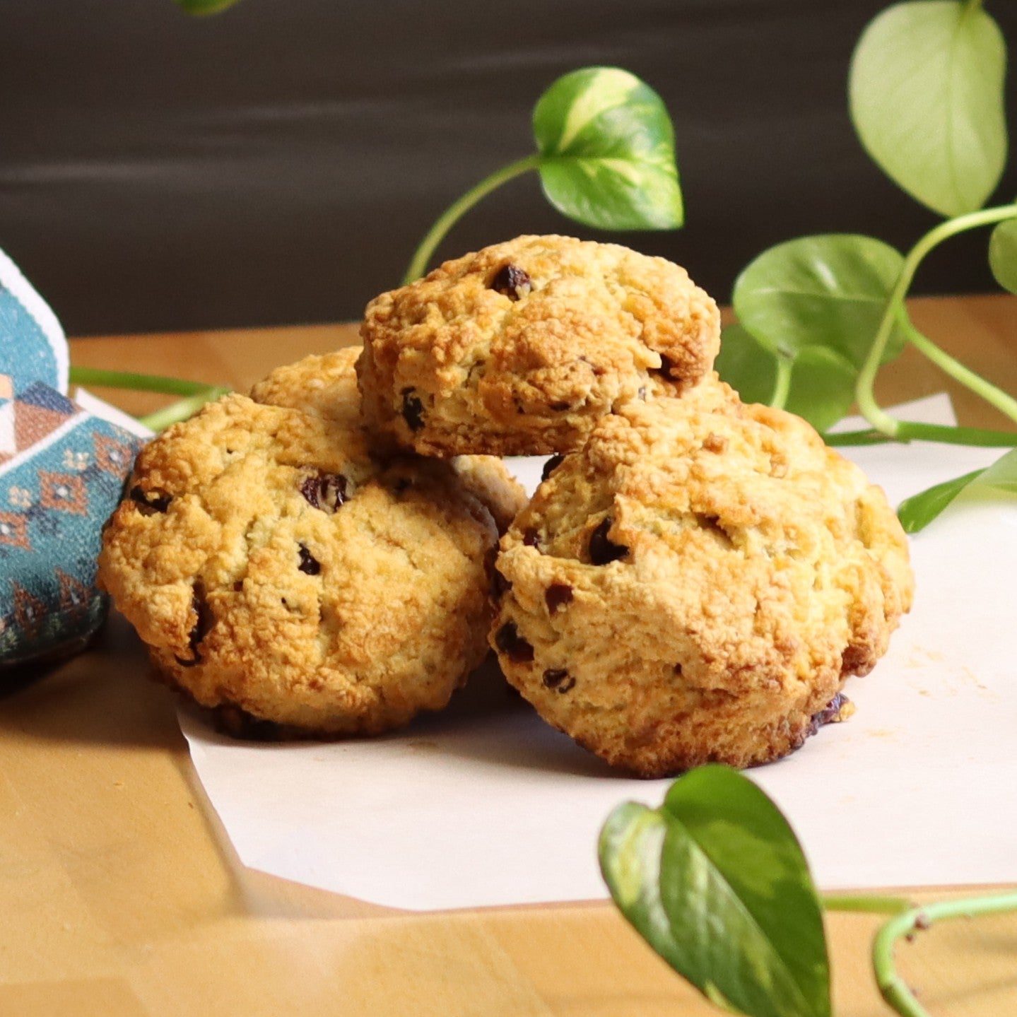 Cranberry Scones - Ashlan Bakery