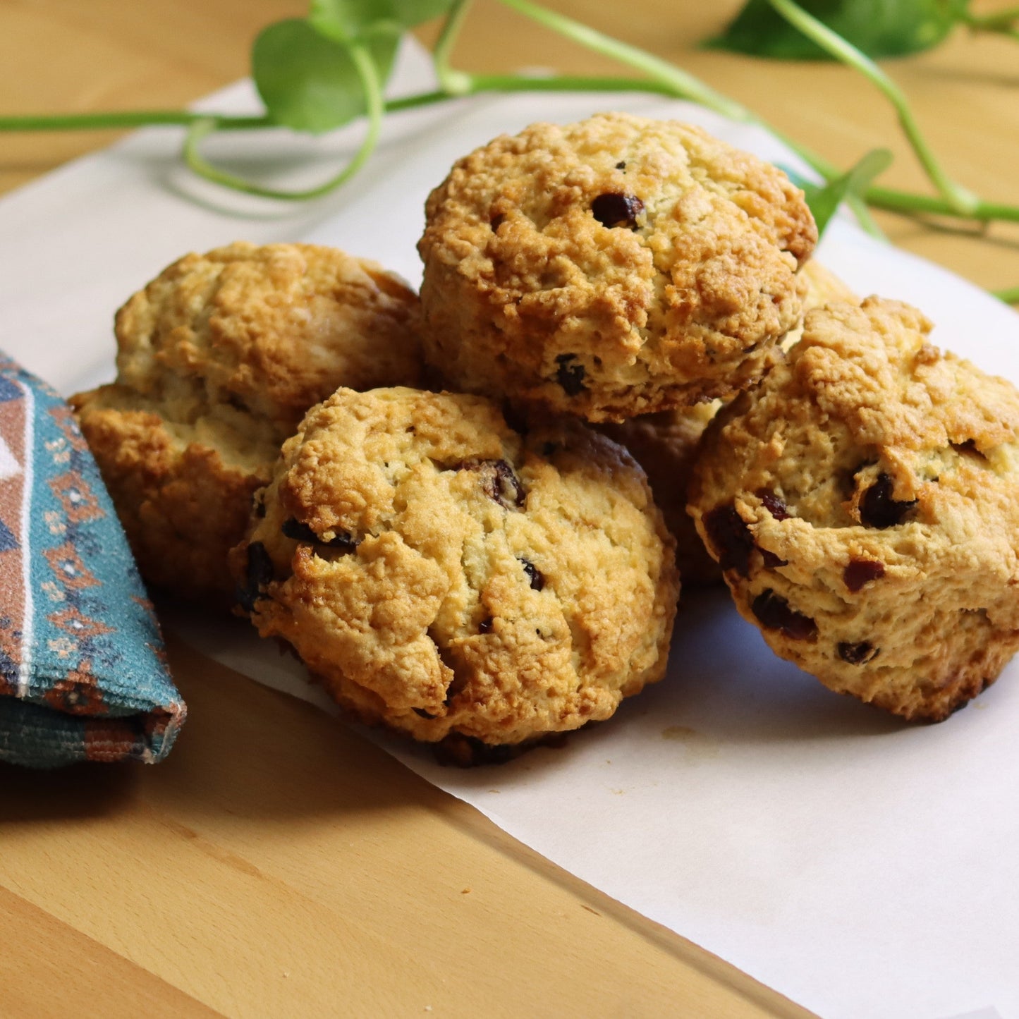 Cranberry Scones - Ashlan Bakery