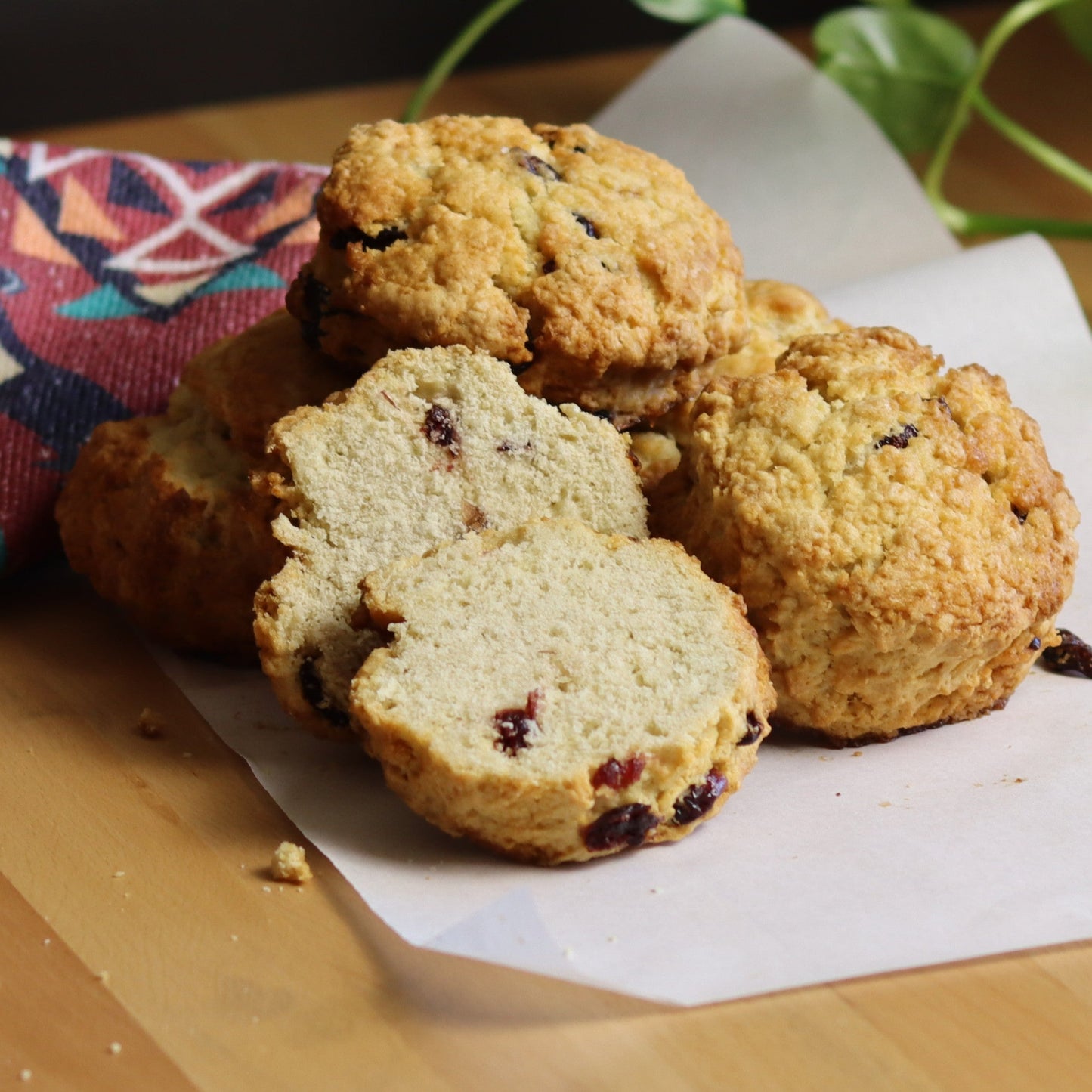 Cranberry Scones - Ashlan Bakery