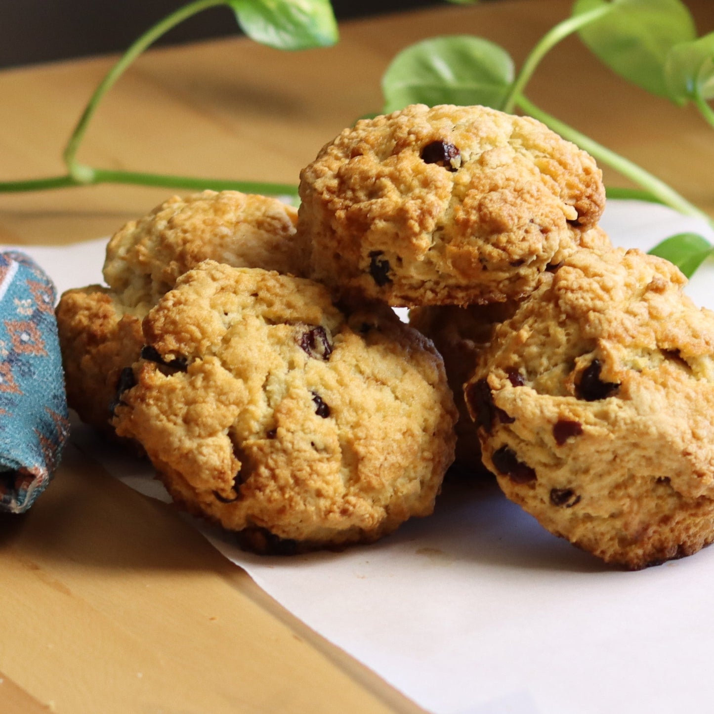 Cranberry Scones - Ashlan Bakery