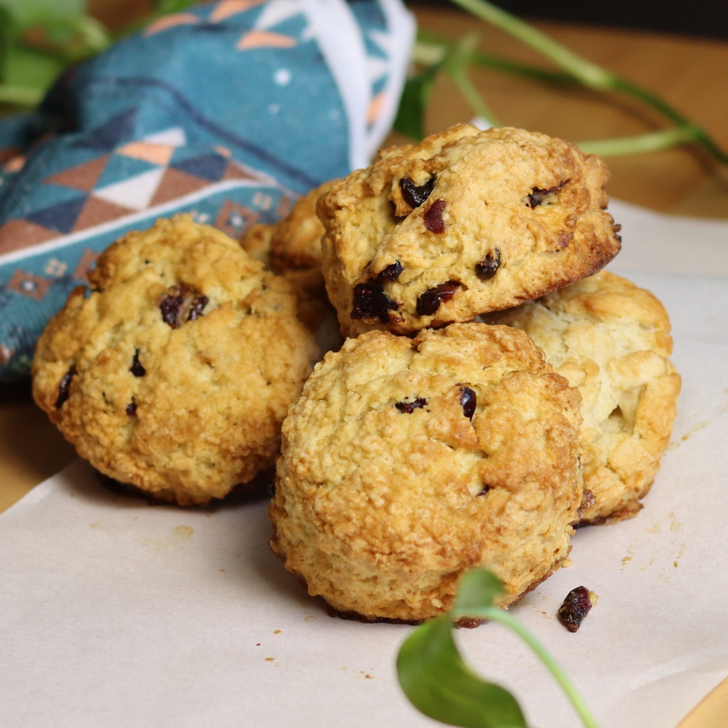 Cranberry Scones - Ashlan Bakery