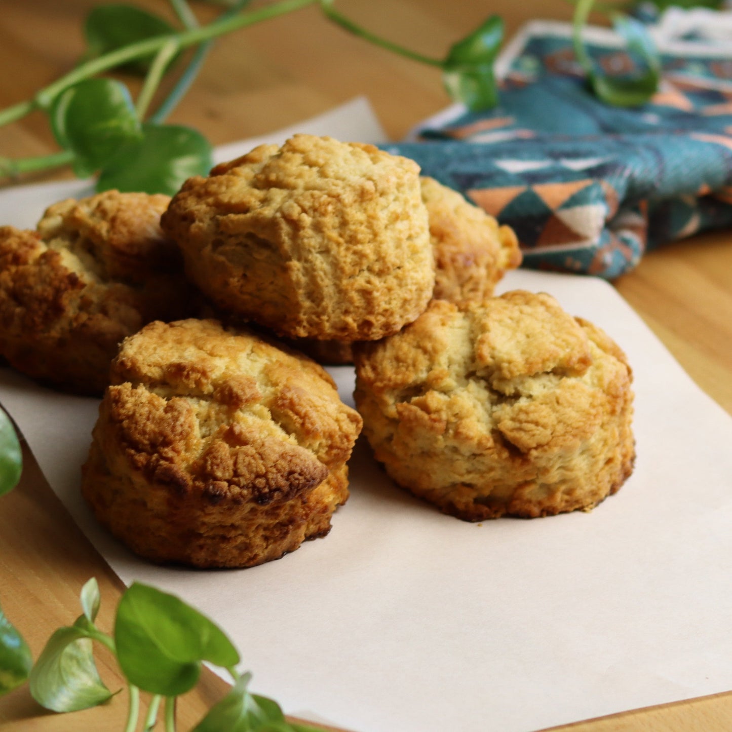 Plain Scones - Ashlan Bakery
