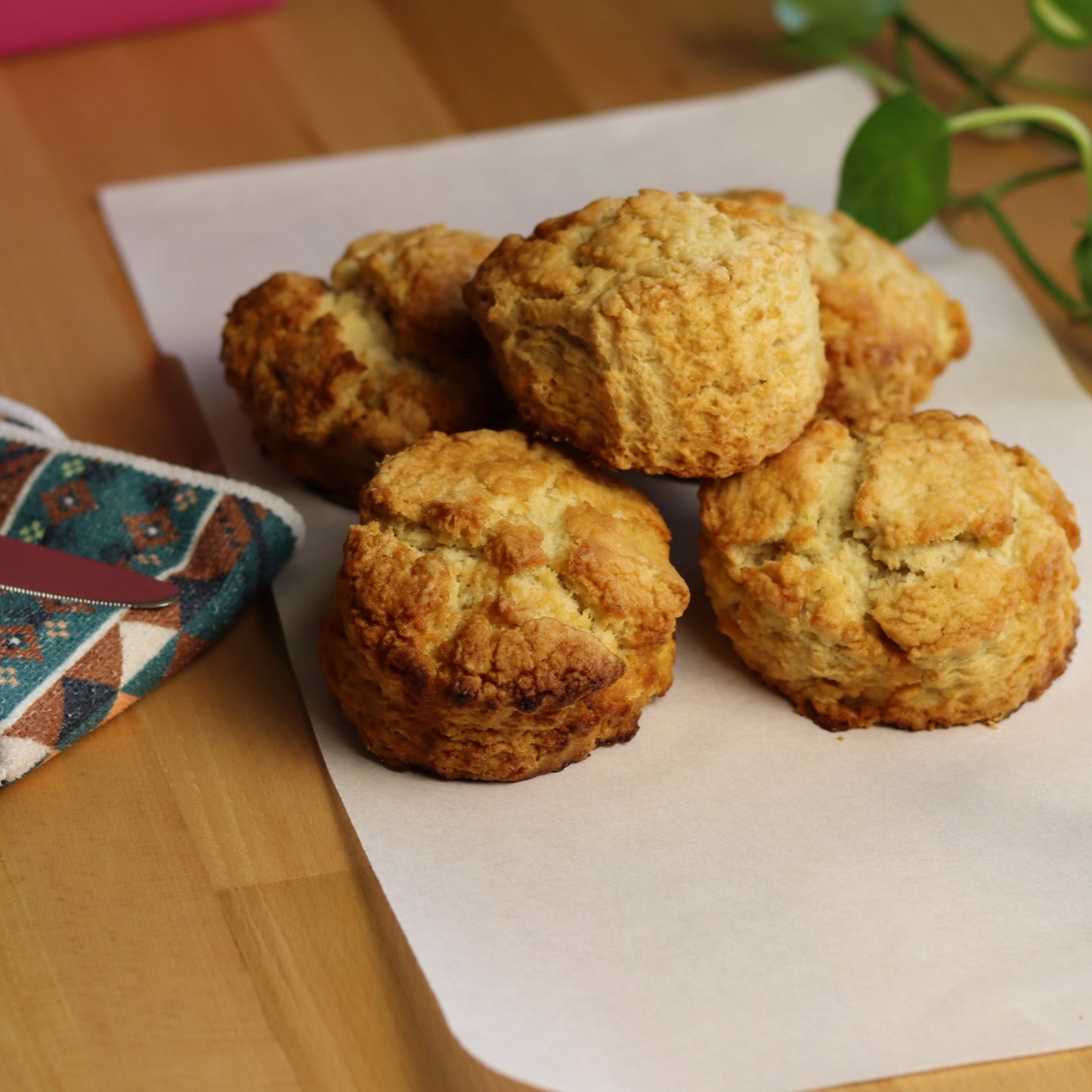 Plain Scones - Ashlan Bakery