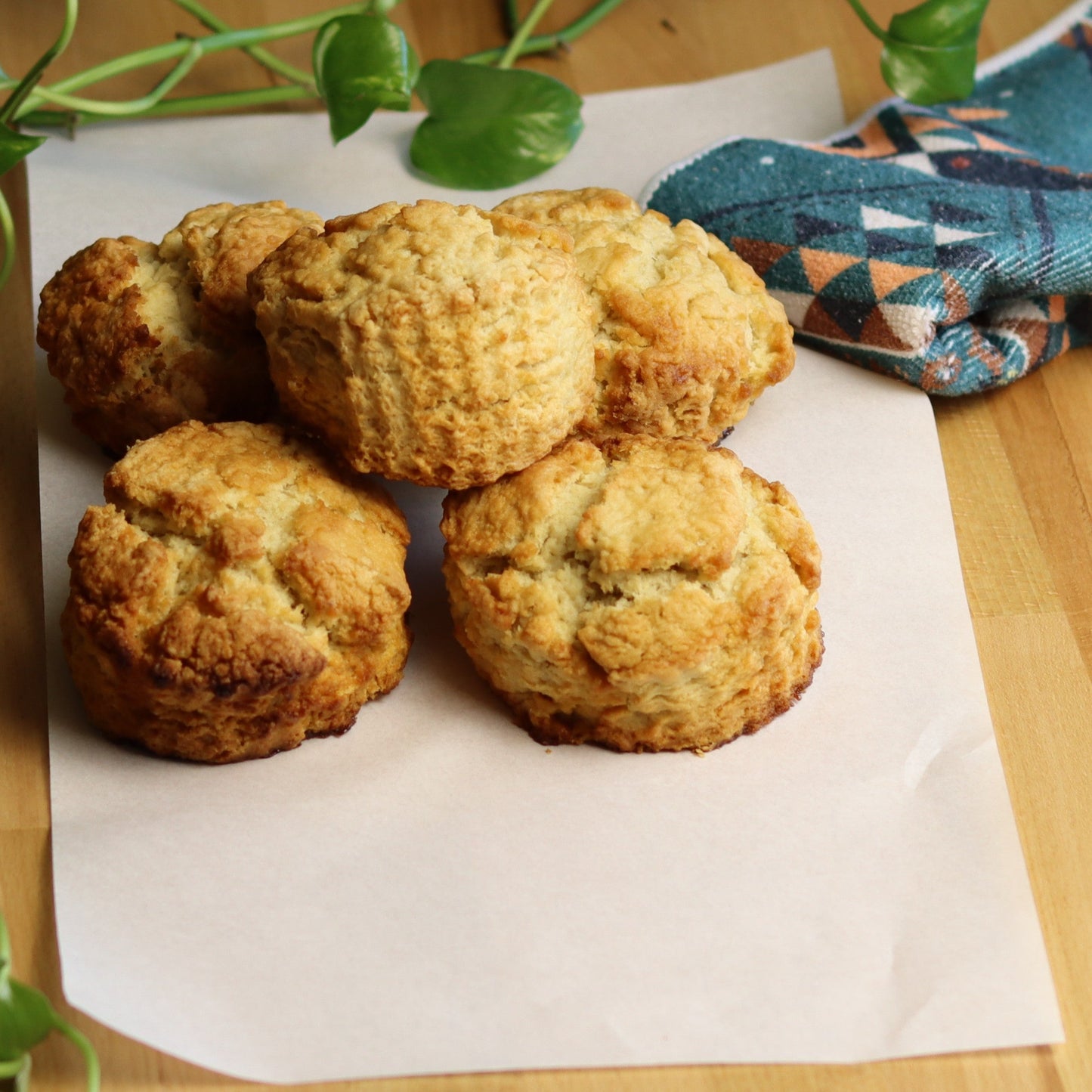 Plain Scones - Ashlan Bakery