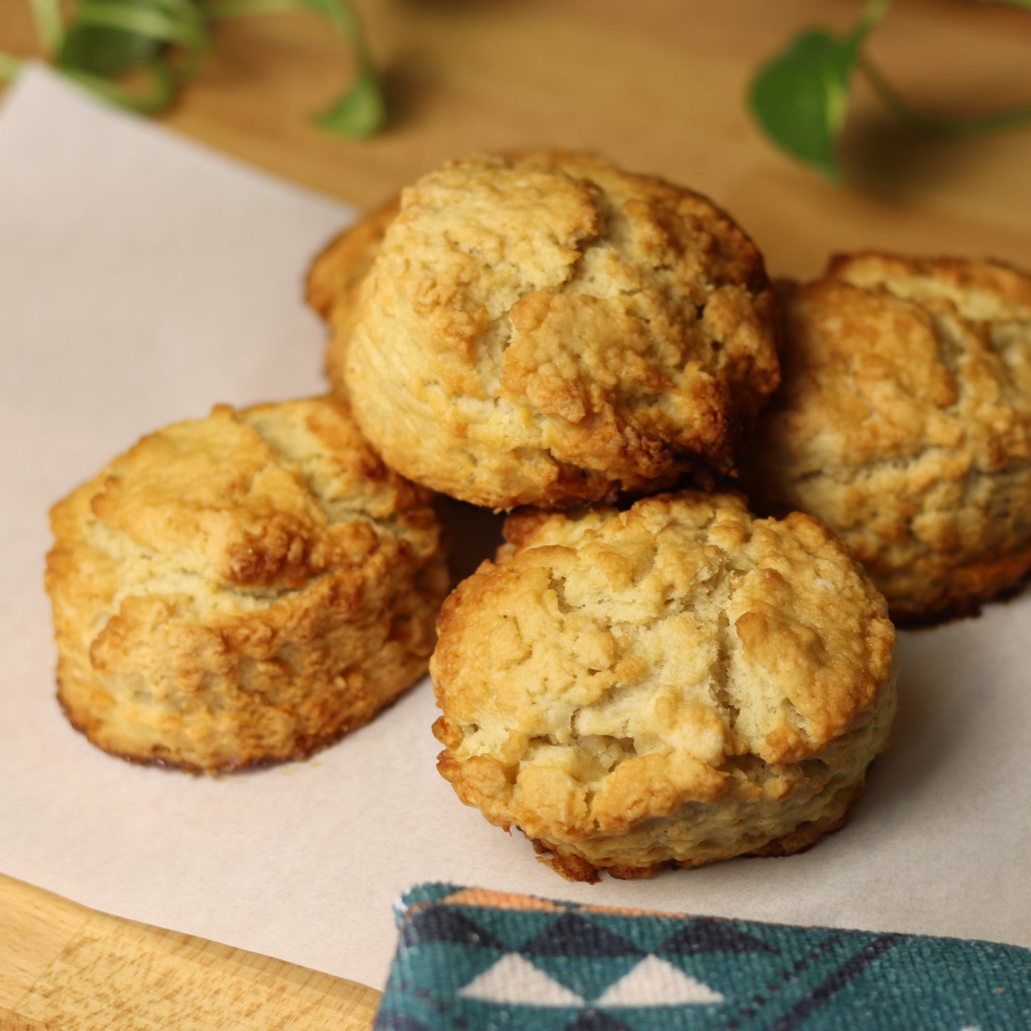 Plain Scones - Ashlan Bakery