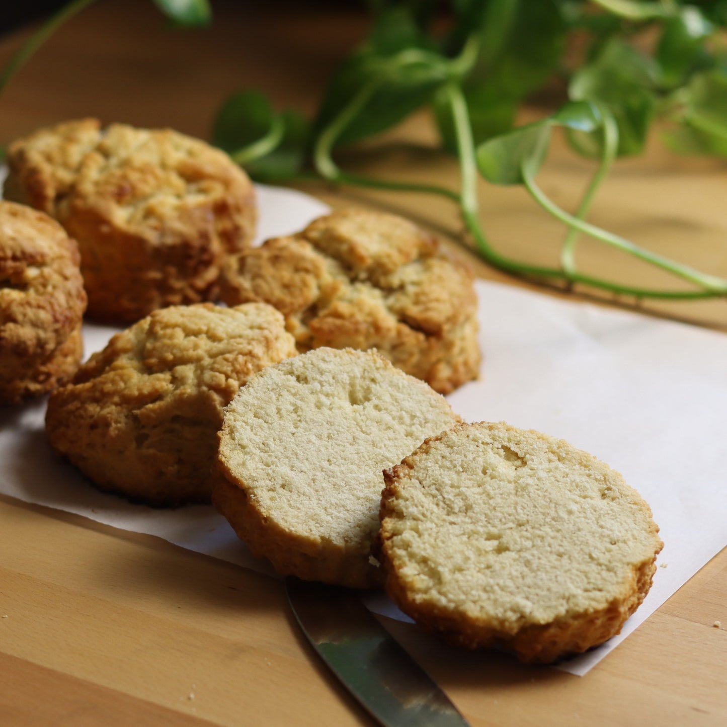 Plain Scones - Ashlan Bakery