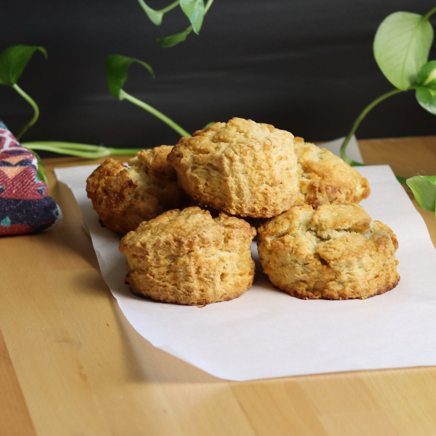 Plain Scones - Ashlan Bakery