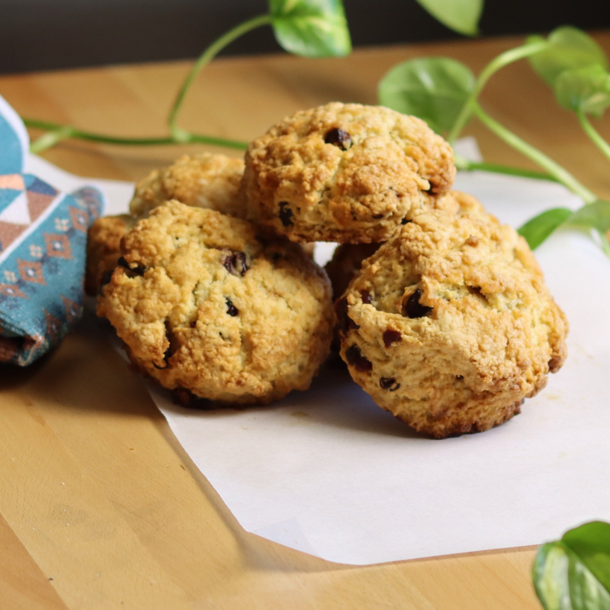 Cranberry Scones - Ashlan Bakery