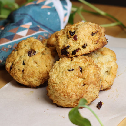 Cranberry Scones - Ashlan Bakery