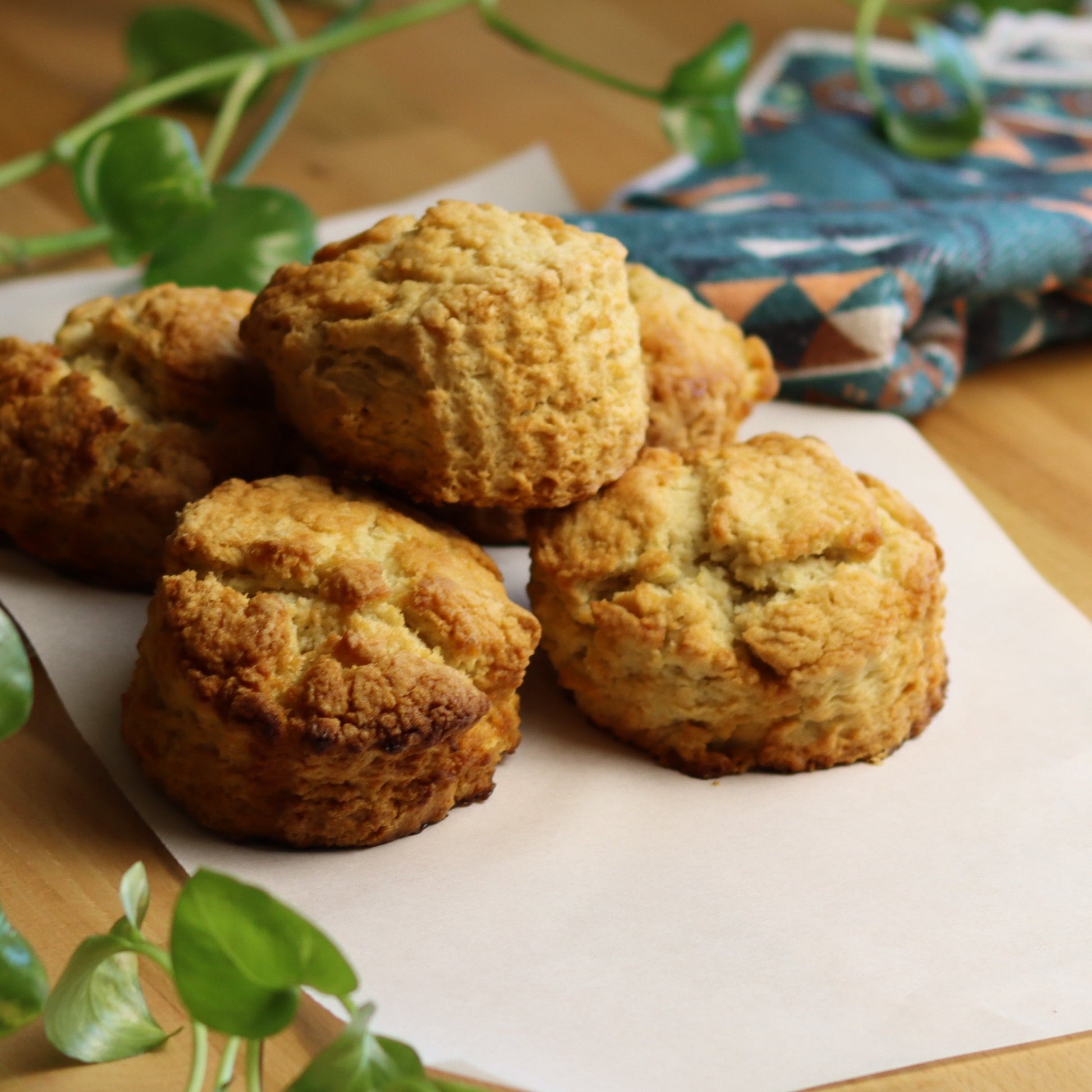 Plain Scones - Ashlan Bakery