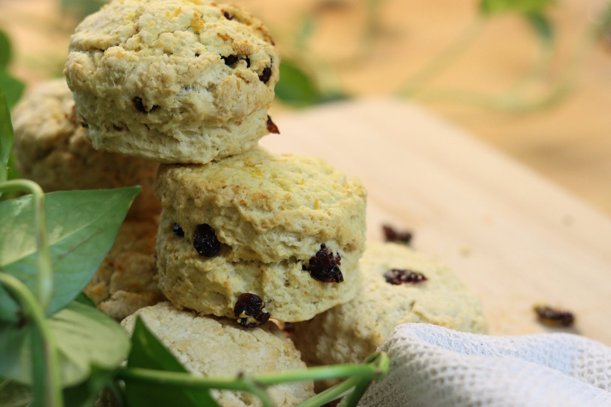 Vegan Cranberry Scones - Ashlan Bakery