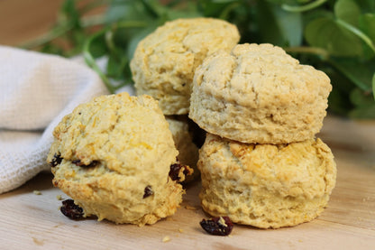 Vegan Cranberry Scones - Ashlan Bakery