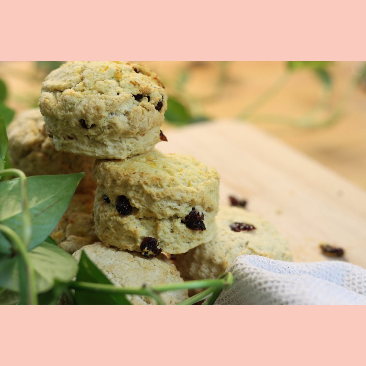 Vegan Plain Scones - Ashlan Bakery