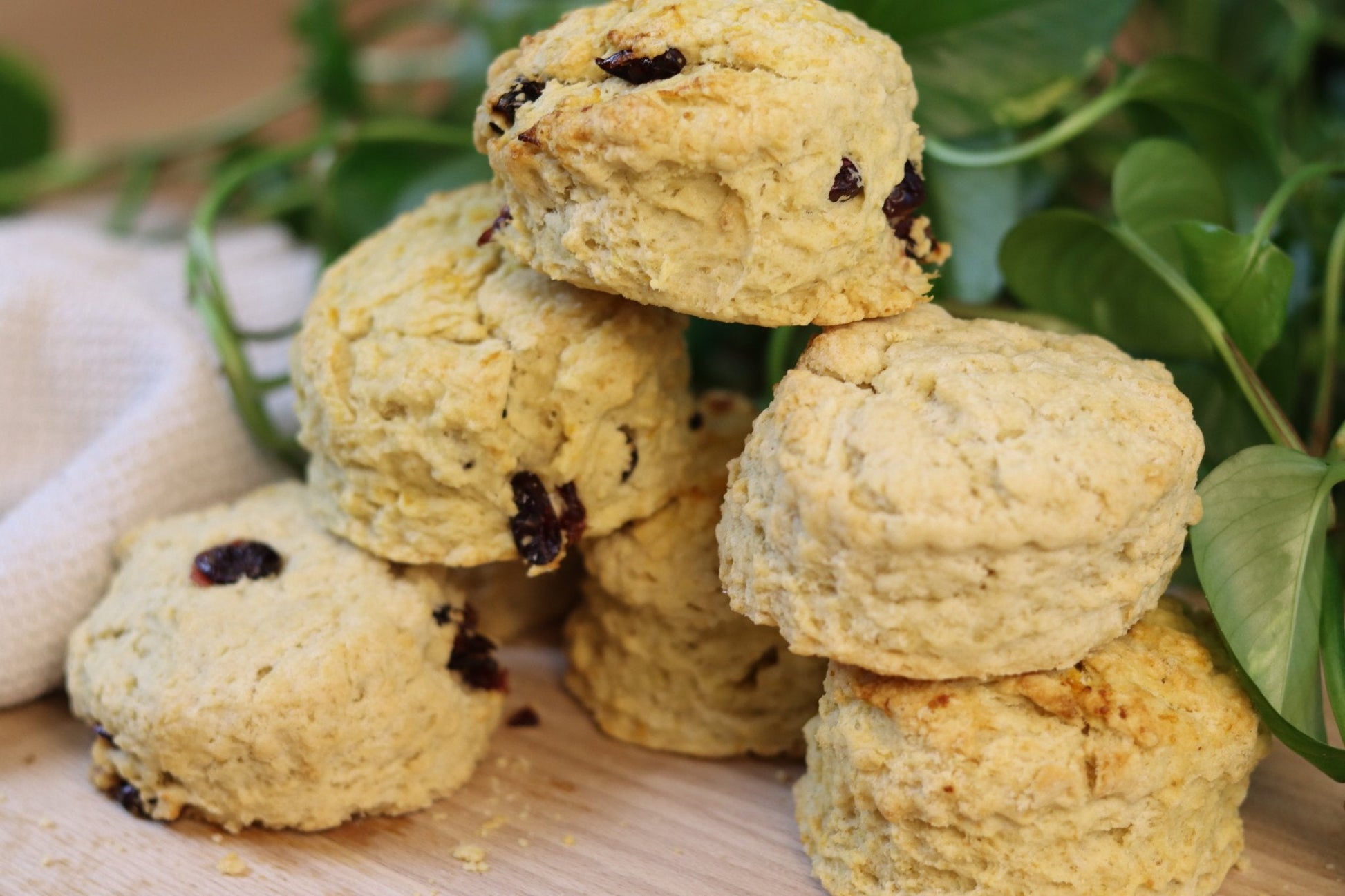 Vegan Plain Scones - Ashlan Bakery